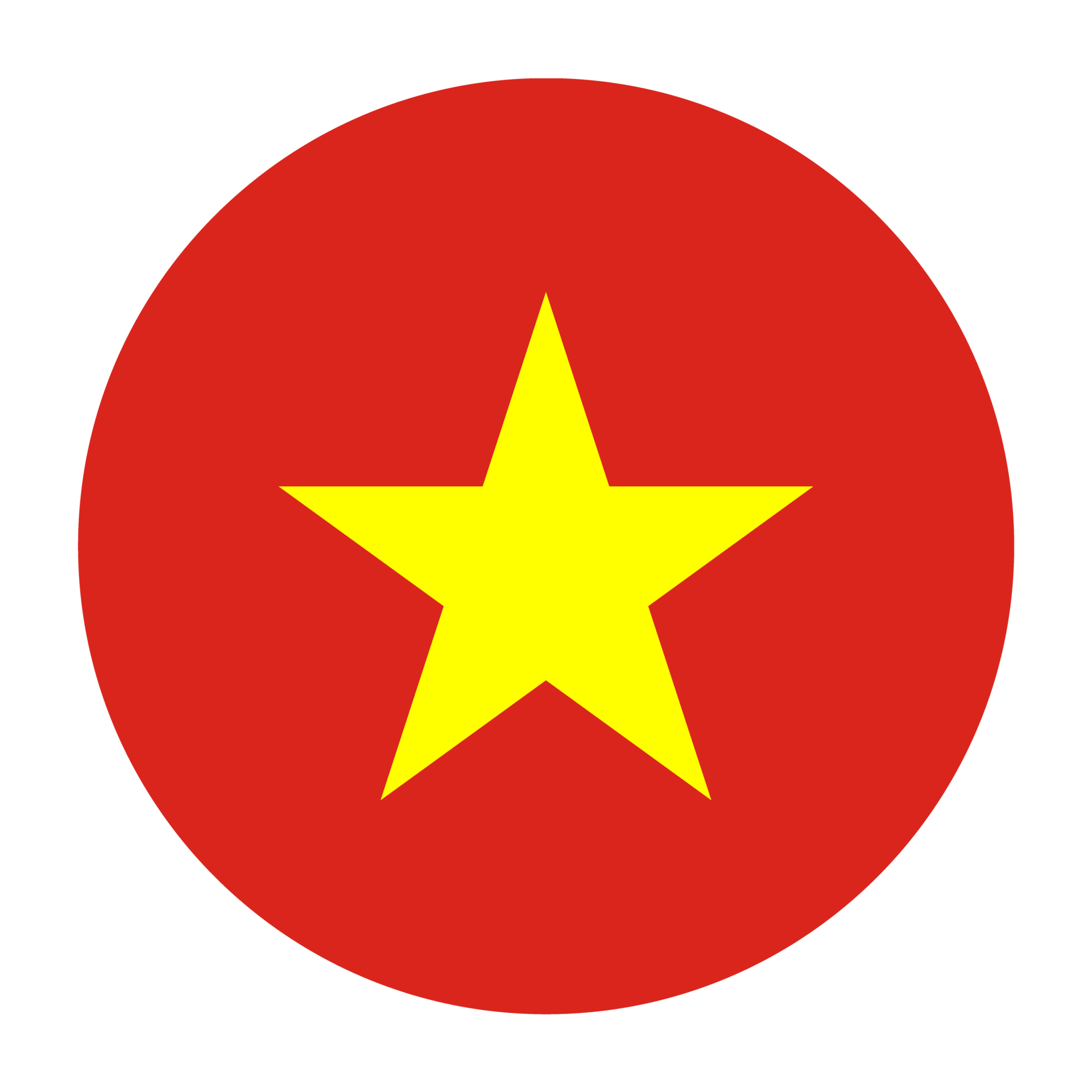 Vietnam Flag